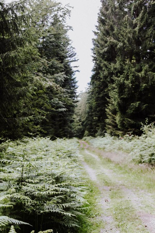 4-Zimmer-Ferienwohnung Waldbluemle Dobel Bagian luar foto