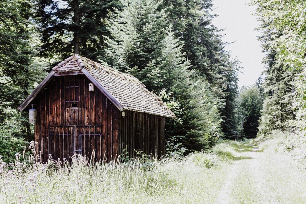 4-Zimmer-Ferienwohnung Waldbluemle Dobel Bagian luar foto