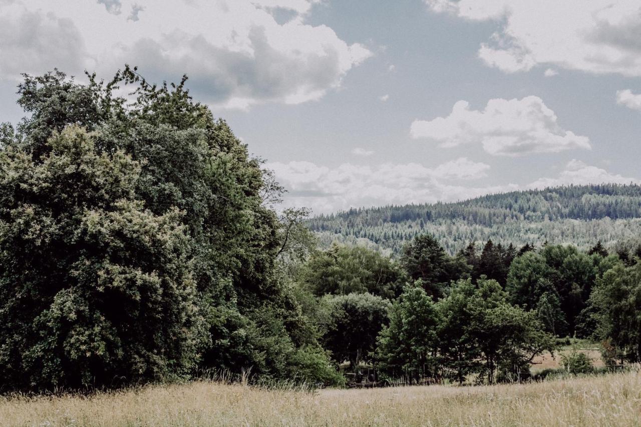 4-Zimmer-Ferienwohnung Waldbluemle Dobel Bagian luar foto